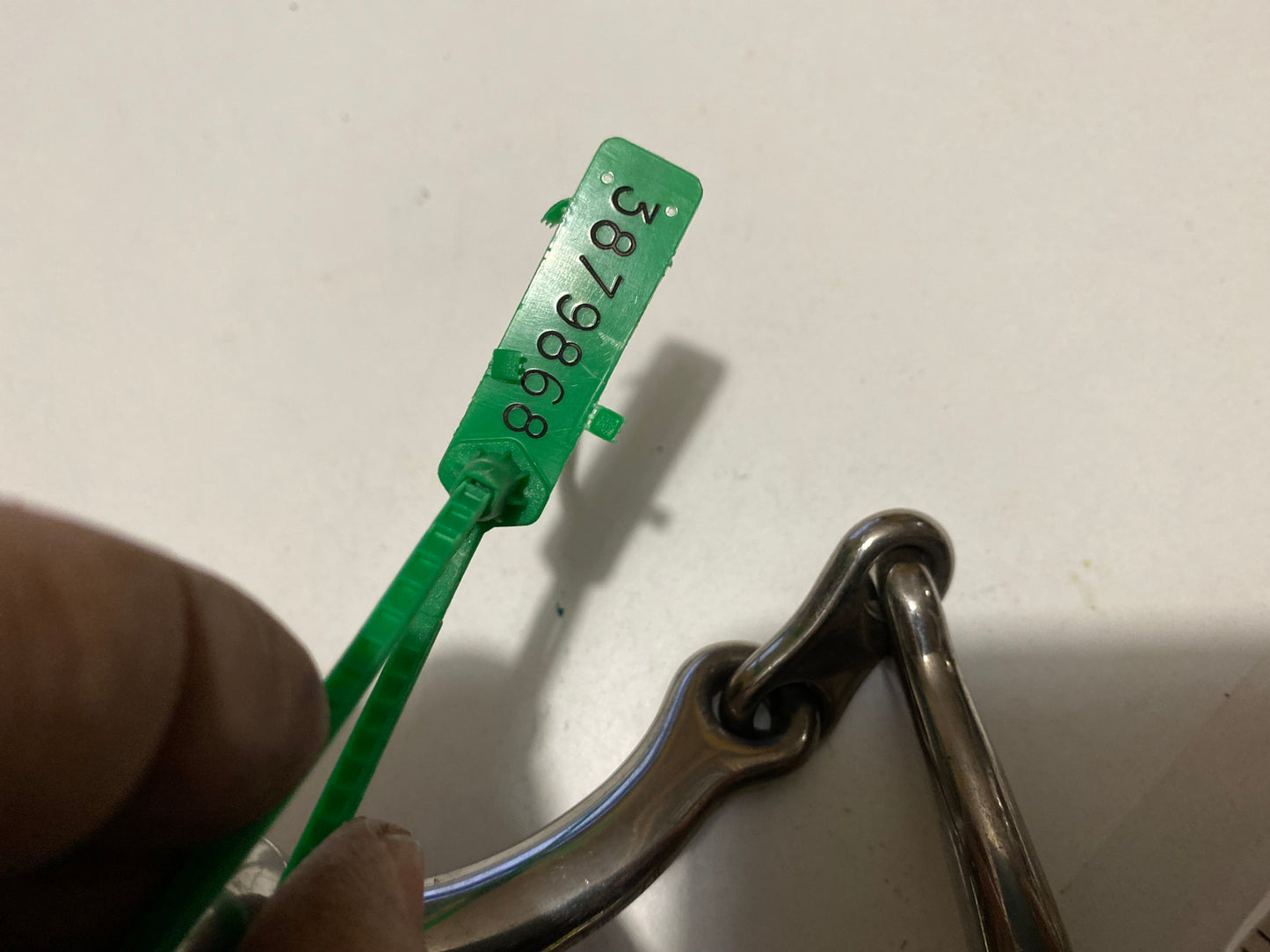 Bit Eggbut French Link 6" JP Curved 3879868 821
