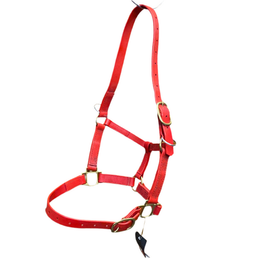 Zilco Cob Headstall with bit loops