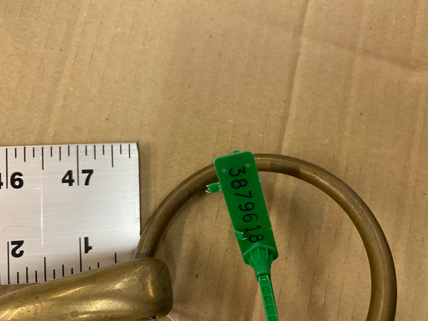 Bit Loose Ring Jointed 5.5" Brass type  3879618 no labels